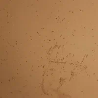 نشتی یابی و رفع رطوبت ،عایق نانو و ایزوگام|خدمات پیشه و مهارت|تهران, آهنگ|دیوار