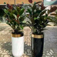 خدمات باغبانی هرس گلکاری تعویض خاک گلدان و غیره