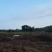 فروش خاک آبرفتی مرغوب (ماسه رودخانه ای)|خدمات باغبانی و درختکاری|آستارا, |دیوار