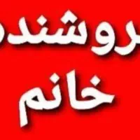 فروشنده نیمه وقت سیسمونی