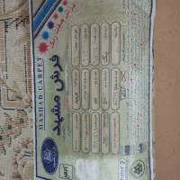 فرش مشهد ،تراکم بالا|فرش|بندرعباس, |دیوار