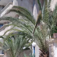 بریم سفر