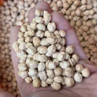 حبوبات عمده|خوردنی و آشامیدنی|تهران, بهمن یار|دیوار