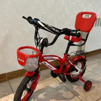 دوچرخه‌|دوچرخه، اسکیت، اسکوتر|رشت, کاکتوس|دیوار