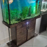 آکواریوم شیشه ای با کمد پایه دار استیل