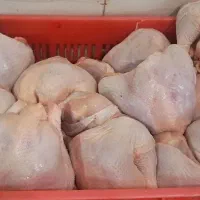 فروش ویژه ران روز ۱۵۹هزار