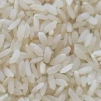 برنج کامفیروز ی با خرده برنج
