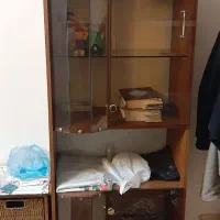 ویترین چوبی