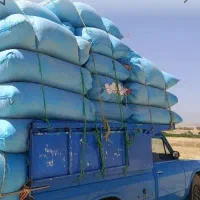 کاه نخود تحویلی