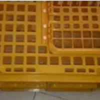 سبد حمل مرغ نو