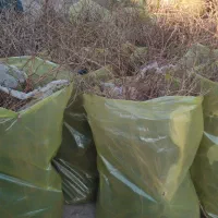 عنوان نهال های ایرانی وخارجی موجود ‌میباشد|خدمات باغبانی و درختکاری|ارومیه, |دیوار