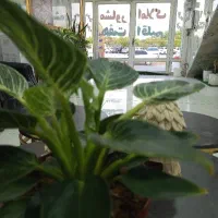 رهن کامل سه واحدی نظام مهندسی