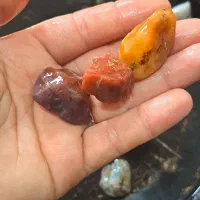 سنگ عقیق وجاسپرفروش فوری|جواهرات|لشت نشا, |دیوار