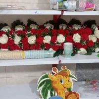 بک گراند وگل مصنوعی به همراه استند شخصیت