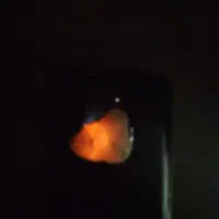 سنگ|کلکسیون سکه، تمبر، اسکناس|گلبهار, شهر جدید گلبهار|دیوار