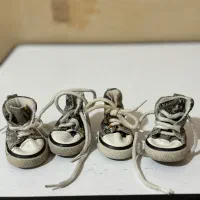 کفش کتونی و لباس سگ و گربه