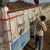 کود حیوانی خشک تمیزه