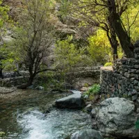 اجاره کافه رستوران در ۴ طبقه با لوازم در درکه