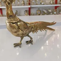 طاووس دم کشیده