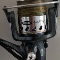 لنسر ماهیگیری