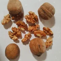 گردو