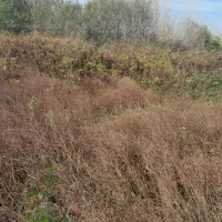 440متر-زمین-مستطیل-دور-دیوار-کوتاه-با-پروانه