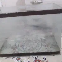 آکواریوم شرکتی و لوازم