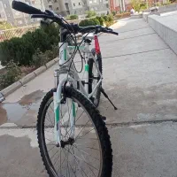 دوچرخه فلش ۲۶