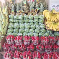 نیازمند نیروی کار در میوه فروشی