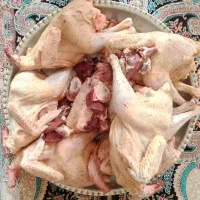 اردک اسرایبلی غاز مرغ اردک پرکنده و زنده|حیوانات مزرعه|رستم‌آباد, |دیوار