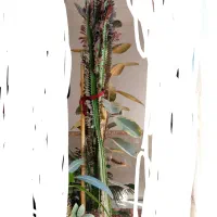 فروش گل بزرگ و سرحال با گلدان