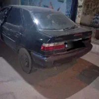 زانتیا تصادفی