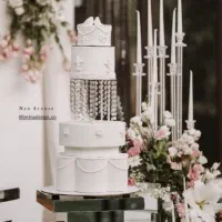 اجاره انواع ماکت کیک و انواع کیک های تولد