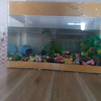 اکواریوم شیشه خم