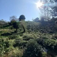 1400متر-چلک-لاهیجان-یاس-11-قابل-معاوضه