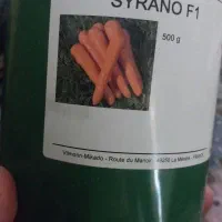 گتوند خیابان سوم