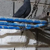 یک جفت زاغ چشم ونوک ابادانی