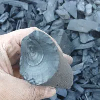 زغال کبابی صنعتی