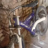 حراج فوری