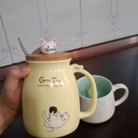 ماگ نو تمیز|ظروف سرو و پذیرایی|بهبهان, |دیوار