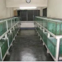 آکواریوم ۵۰در۸۰جهت استفاده ماهی وزالو