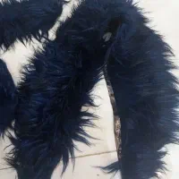 خرج کار پالتو