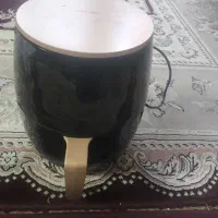 سرخ کن رژیمی