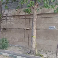 نصب و اجرای کاشی و سنگ نما