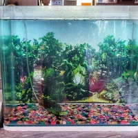 آکواریوم بزرگ سالم شرکتی|ماهی|کرمان, |دیوار