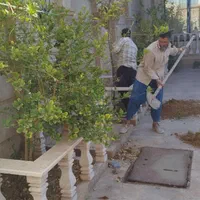 امورباغبانی و خونه باغ و باغات نخل|خدمات باغبانی و درختکاری|بوشهر, |دیوار