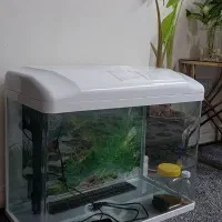 آکواریوم شرکتی اندازه ۴۵در ۵۵