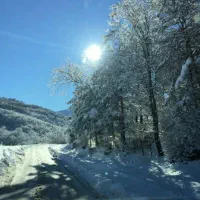 انارم|فروش زمین و ملک کلنگی|پل سفید, |دیوار