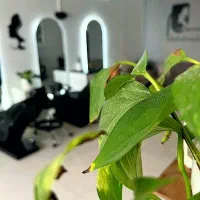 اجاره رنگ،کراتین،مژه،کوتاهی درسالن وآموزشگاه|اجارهٔ دفتر کار، اتاق اداری، مطب|مشهد, صیاد شیرازی|دیوار