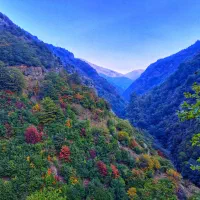 پیش فروش واحد مسکونی تک واحدی